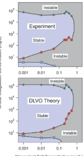 Fig. 8. Stability map for C3 showing the oligomer concentration vs. the concentration of added KCl ob- ob-served experimentally (top) and calculated with DLVO theory (bottom) at pH 5.8.