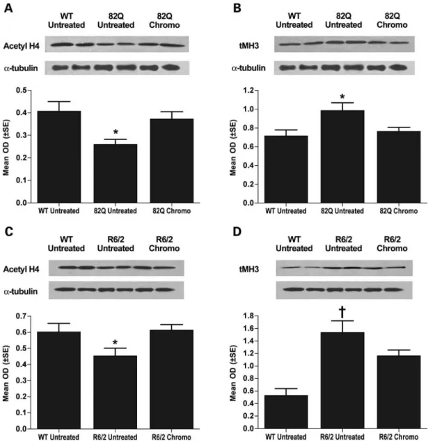 Figure 1. Histone methylation and acetylation alterations in chromomycin-treated 82Q and R6/2 mice