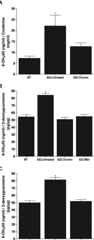 Figure 6. The effects of anthracycline administration on urinary and brain 8-OH 2 dG levels in 82Q and R6/2 mice