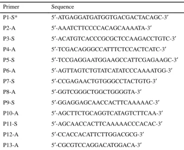 Figure 2. SSCP analysis of control and cblG cell lines. Lanes 1 and 2 represent control cell lines, lanes 3 (cblG WG1892) and 4 (cblG WG1765) represent patient cell lines.