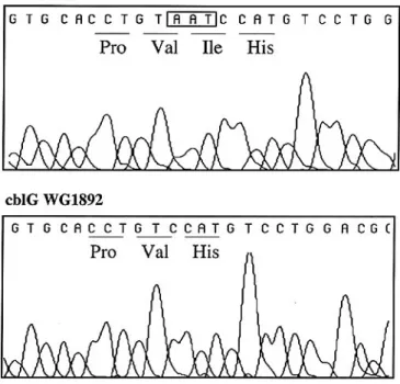 Figure 4. Nucleotide sequence analysis showing the 3 bp deletion (of AAT) in cblG WG1892.