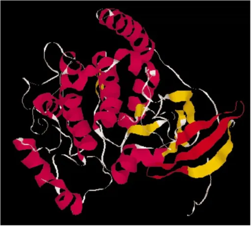 Figure 2. Five proteins have been extracted from the domain view of the trypsin pro®le (PS50240) match list