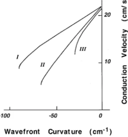 Fig. 2. Dependence of propagation velocity on wavefront curvature in w x