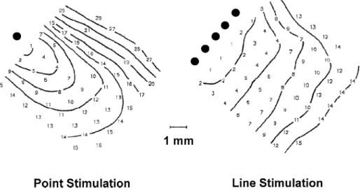 Fig. 3. Effect of point stimulation versus linear stimulations on activation spread. Stimulation with a single electrode point stimulation produces a convex