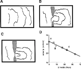 Fig. 5. Wave propagation across a narrow tissue isthmus in an isolated Ž .