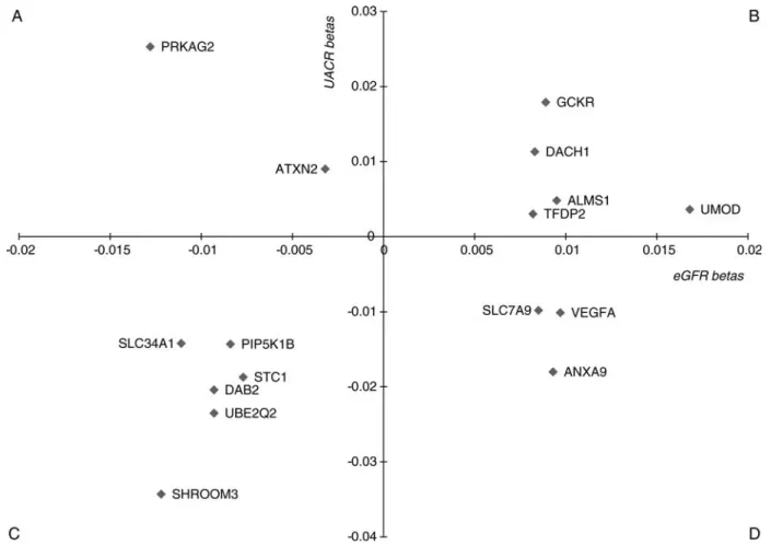 Figure 1. Scatter plot of SNP effects on the eGFR and the UACR. Quadrants labeled (A) (lower eGFR effect size, higher UACR effect size) and (D) (higher eGFR effect size, lower UACR effect size) represent associations consistent with the observed correlatio