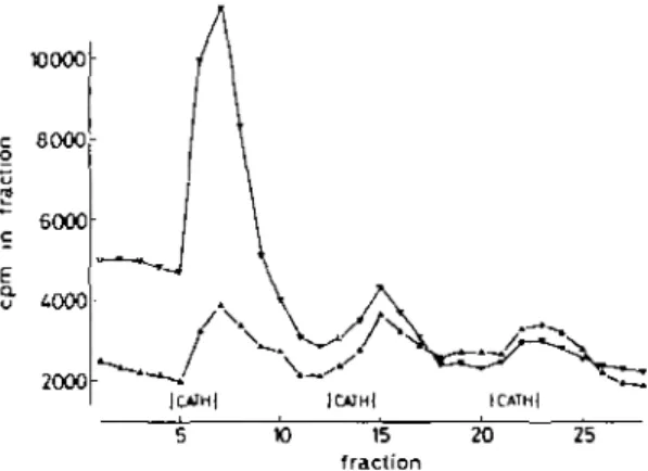 Fig. 5. Effect of (-)cathinone and of ( +(amphetamine on the efflux of radioactivity from rabbit atrium tissue prelabelled with  3 H-noradrenaline The efflux from an unstimulated control preparation superfused  simul-taneously is indicated by open triangle