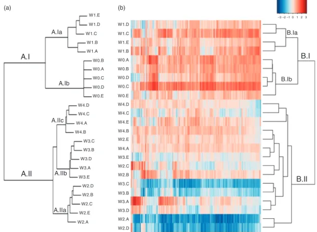 Fig. 1. (a) Hierarchical clustering analyses of presence and absence of 52 different plant species in different succession stages of chalk grasslands