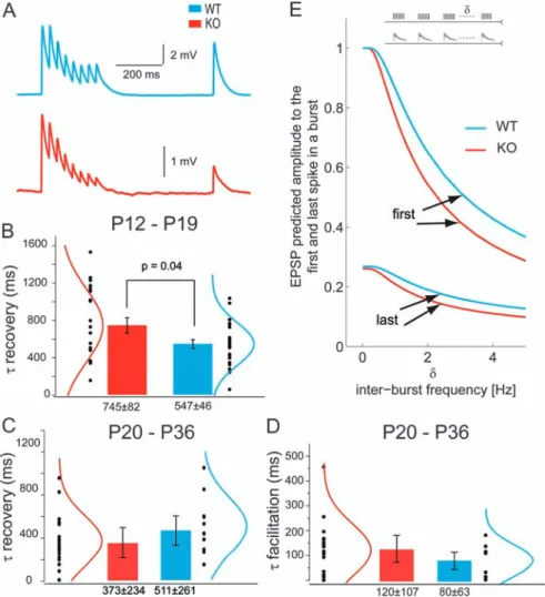 Figure 3. Delayed recovery of EPSPs following short-term depression in Fmr1-KO synapses