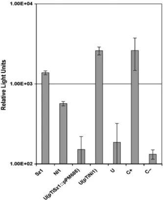 Fig. 2. Detection of N-acyl-homoserine lactones (AHLs) from extracts of Agrobacterium vitis strains