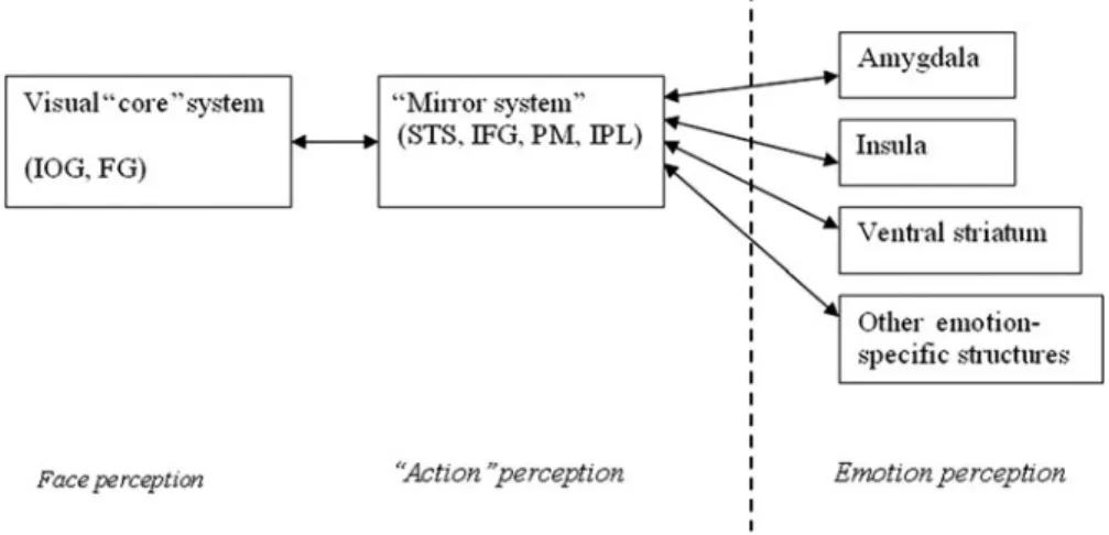 Figure 1 (Chakrabarti). A generalized model of facial expression (Chakrabarti et al. 2006)