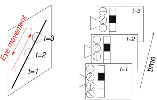 Figure 2 (Mann and Choe). Relationship between encoded sensory property and motor primitive giving internal state invariance.