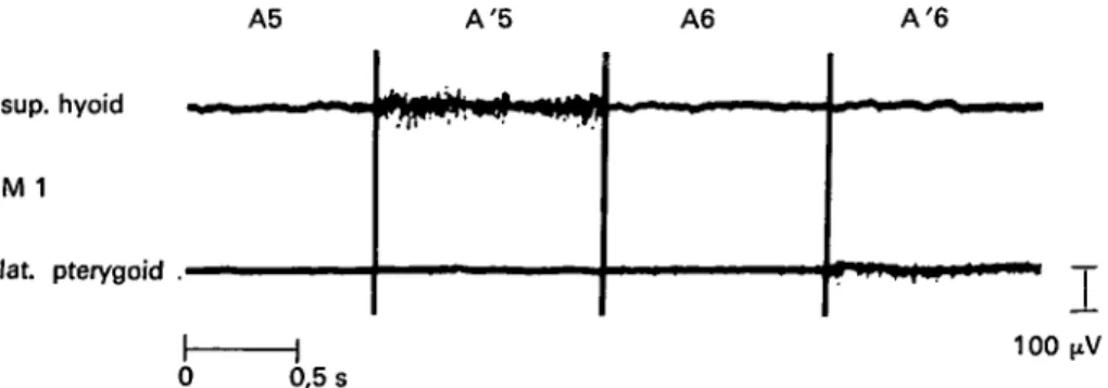 Figure 5 The 'm' humming-sound (A'5) causes sparse action potentials of the lateral ptyergoid muscle and a more intense activity of the muscles of the floor of the mouth