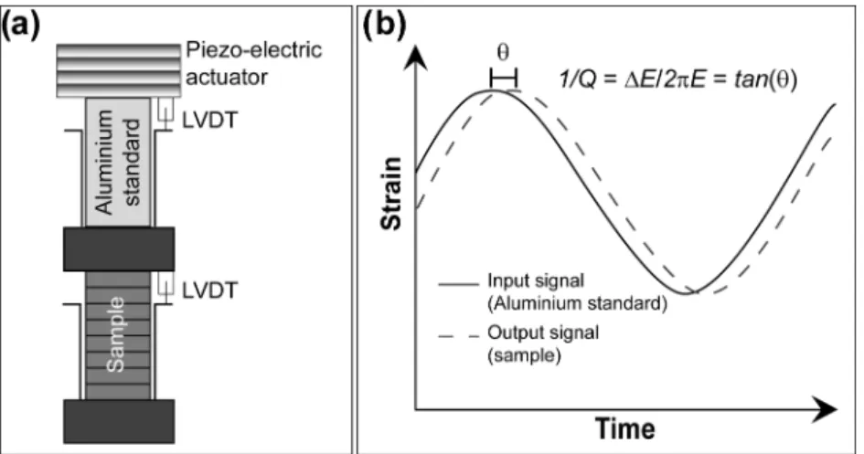 Figure 2. (a) Schematics of the experimental set up for the measurements of frequency dependent attenuation
