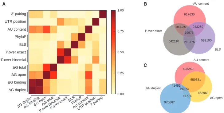 Figure 2. Correlation among features based on prediction for human miRNAs and mRNAs. (A) A heatmap of the absolute values of Spearman correlation coefﬁcients between pairs of features classiﬁed in methods categories