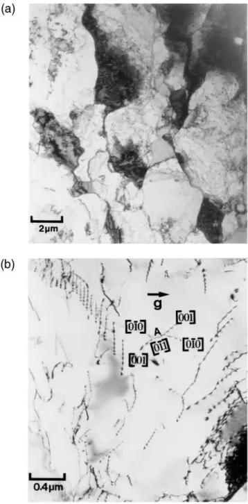 FIG. 9. Electron micrographs showing (a) general subgrain structure and (b) typical dislocations inside a subgrain, of the sample forged at 1000 ± C