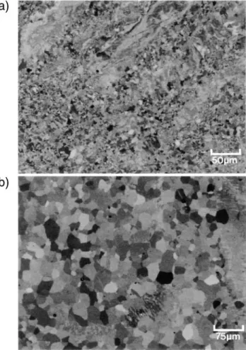 FIG. 3. Backscattered electron images showing deformation cell, subgrain, and newly formed grain structures in a sample forged at 800 ± C
