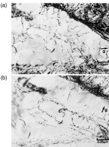 FIG. 6. Electron micrograph showing typical loose subgrain structure in a sample forged at 800 ± C and rapidly quenched