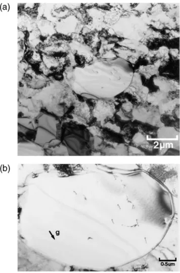 FIG. 8. Electron micrographs showing (a) a recrystallized grain and (b) the small number of dislocations inside the new grain