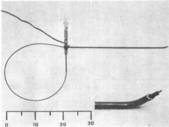 Fig.  1.  Block  cannula  with  the  needle  catheter  inserted; 