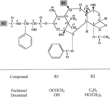 Fig. 1. Chemical structure of paclitaxel and docetaxel according to Ringel marker-heterozygous (mwh ⫹ / ⫹ flr 3 ) flies were mounted on