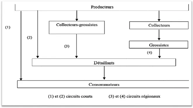 Figure 1. Exemple d’un schéma d’organisation de la filière lait (Duteurtre et al., 2000)