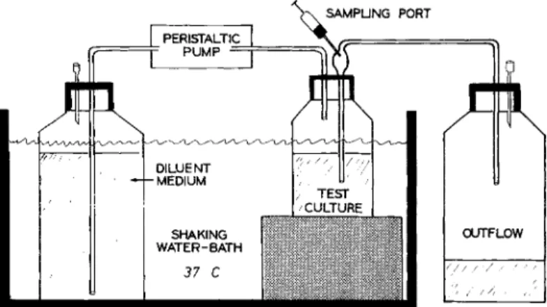 Figure 1. In vitro model used to simulate the in vitro kinetics of  genta-micin against bacteria
