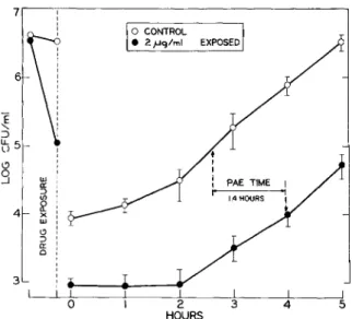 Figure 4. Persistent postantibiotic effect (PAE) of short exposure (30 min) of lag-phase Pseudomonas aeruginosa strain no