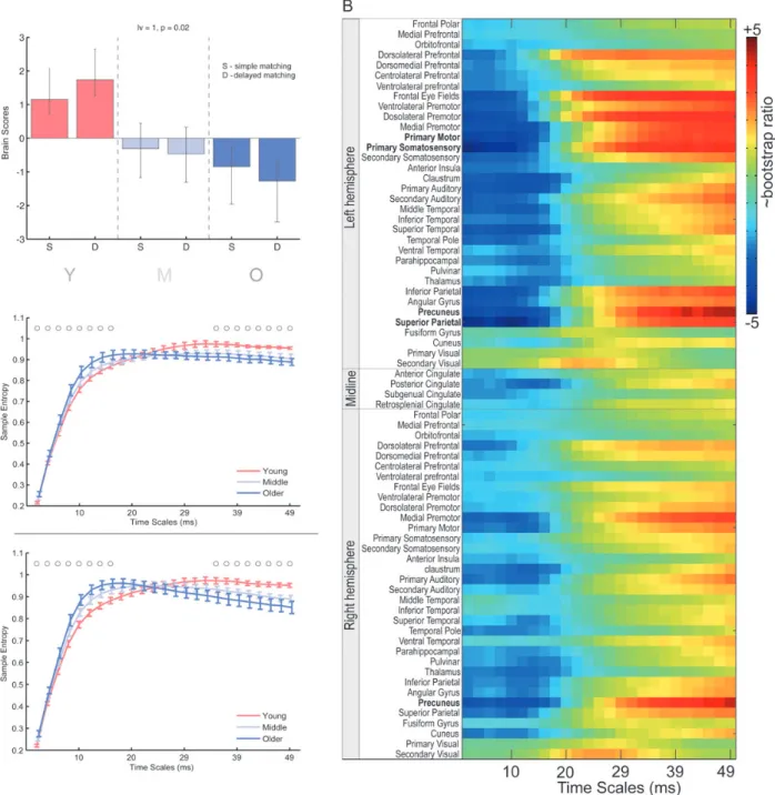 Figure 1. PLS result from the EEG data set for the comparison of age-related changes in MSE