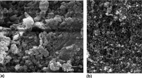 FIG. 5. Scanning electron microscope observation of a fracture of porous zirconia materials