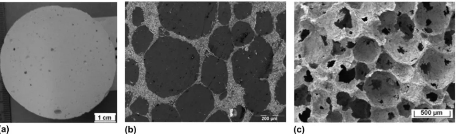 FIG. 7. Macroscopic and SEM observations of foam samples. Flat sections.