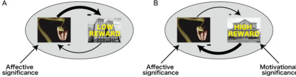 Figure R1. The dual competition model. Visual competition incorporates both affective and motivational factors, such that perception will re ﬂ ect the interplay of multiple “ forces ” that sculpt it