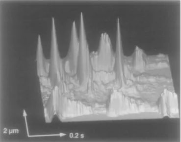 Figure  3  Subcellularly  localised  spontaneous  Ca2+  release  events  without  propagation