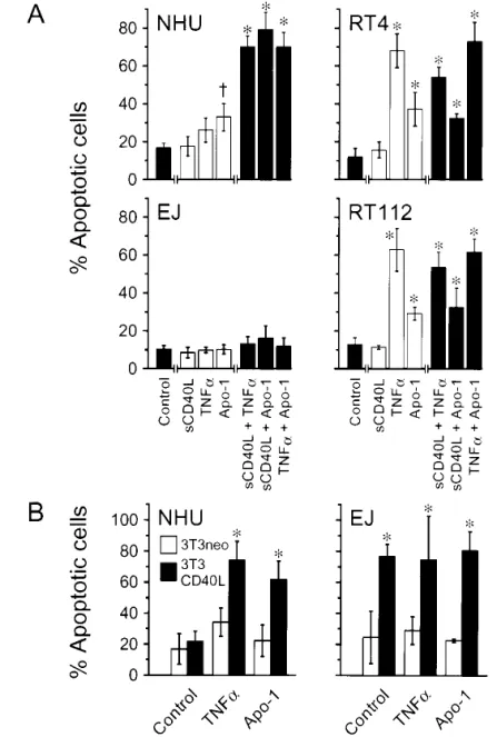 Fig. 4. Apoptotic responses to ligation with other receptors, both singly and in combination