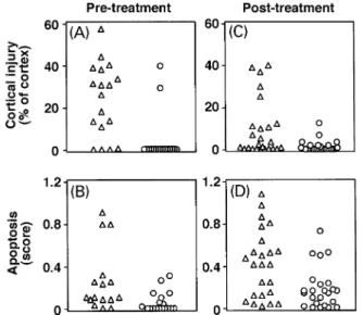 Fig. 2 Brain histology of infant rats with pneumococcal