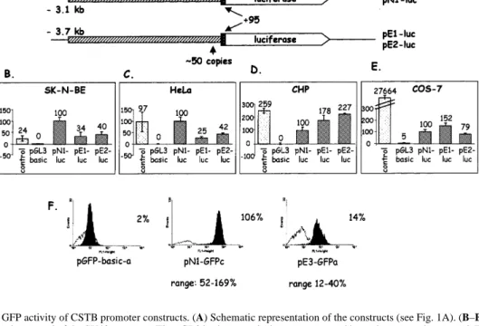 Figure 2. Luciferase and GFP activity of CSTB promoter constructs. (A) Schematic representation of the constructs (see Fig