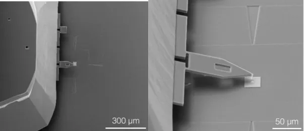 Figure 1.  Addressing the target area for AFM inspection is fast and easy using the SEM