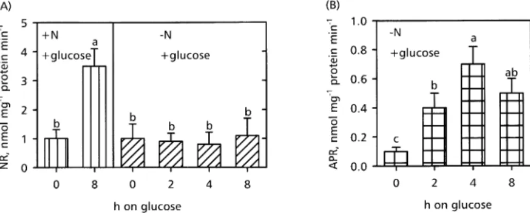 Fig. 5. Effect of glucose on NR (A) and APR (B) activity in roots of A. thaliana under nitrogen de®ciency