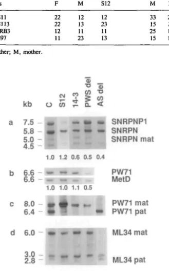 Figure 1. Southern blot analysis of patients S12, 14-3, a PWS deletion patient (PWS del), an AS deletion patient (AS del) and a normal control, mat, maternal;