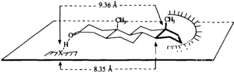Fig. 3. Tentative interaction model for urinous odorants.