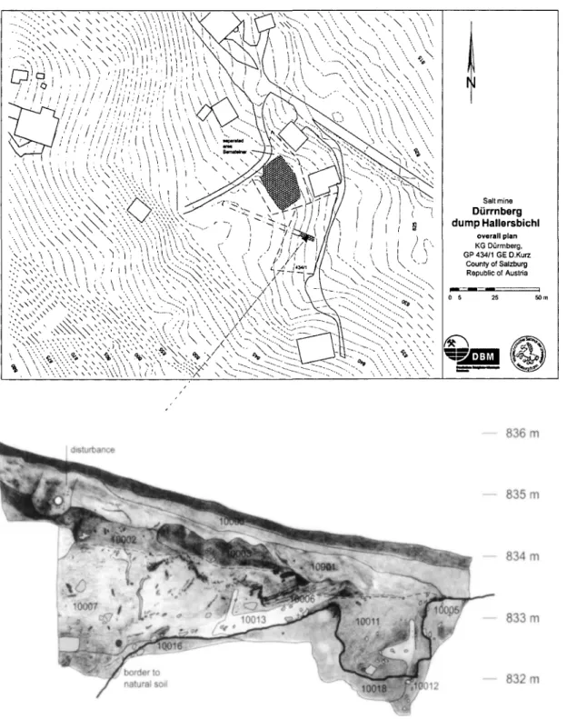 Fig 15. Map of the Hallersbichl area, with the prehistoric dump and the section dug in 2000
