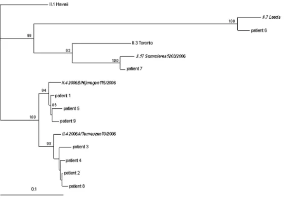 Figure 2. Sequence analysis of a polymerase gene fragment from all 9 patients. Neighbor-joining tree of a 297 nucleotide– long fragment of the polymerase gene (region A)