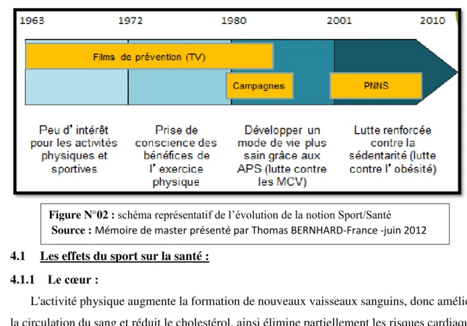Figure N°02 :  schéma représentatif de l’évolution de la notion Sport/Santé