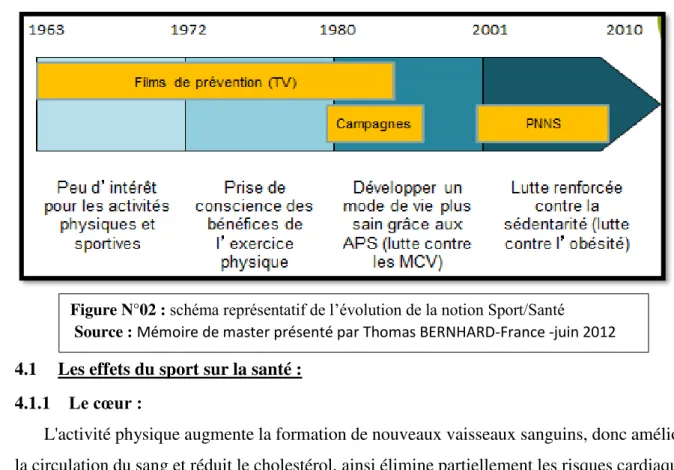 Figure N°02 :  schéma représentatif de l’évolution de la notion Sport/Santé