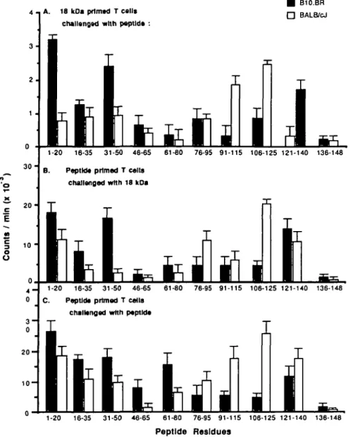 Fig. 2. (A) In vitro proWerative responses of T cells from BALB/cJ and B10.BR mice immunized with the 18 kDa protein, cultured with 20-mer peptides (at 25 /tg/ml) and syngeneic APCs as descnbed in Methods