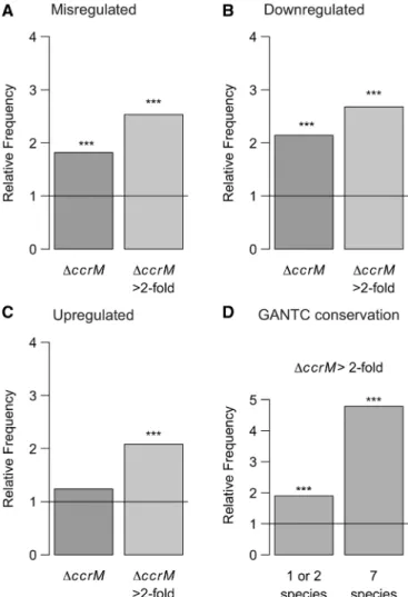 Figure 6. Involvement of CcrM in the regulation of the C. crescentus cell cycle. Frequency, relative to the entire genome, of genes belonging to the direct DnaA regulon (69) (A), the direct CtrA regulon (68) (B), the GcrA regulon (70) (C) or whose expressi