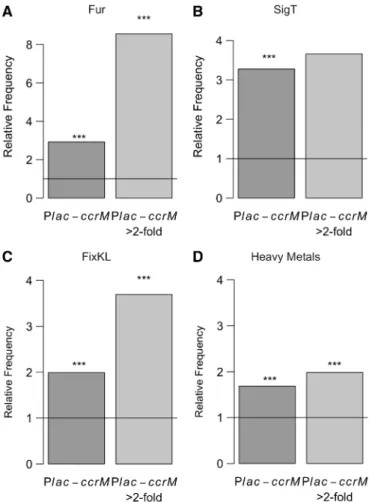 Figure 7. Constitutive over-expression of CcrM yields a stress pheno- pheno-type. Frequency, relative to the entire genome, of genes belonging to the Fur regulon (A) or the SigT regulon (B), among genes signiﬁcantly misregulated (upregulated or downregulat