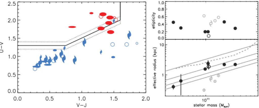 Figure 1. Left: UVJ restframe color plot (Wuyts et al. 2007) of candidate cluster members