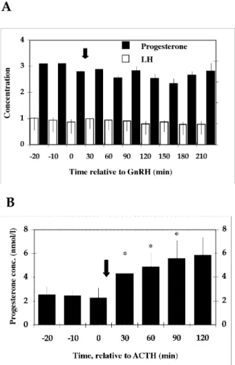 Figure 2. Serum concentrations of progesterone in nmol/l (black columns) and LH in IU/l (empty columns) before and after bolus i.v