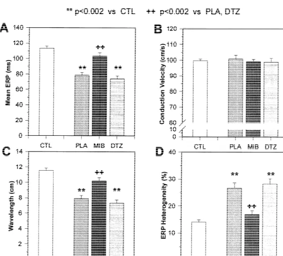 Fig. 3. Changes in ERP (A), conduction velocity (B), wavelength (ERP3CV) (C) and ERP heterogeneity (D) at a BCL of 300 ms induced by 7 days of rapid atrial pacing in placebo (PLA), mibefradil (MIB) and diltiazem (DTZ) groups